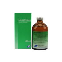 لينكوتريمكس | Lincotrimex